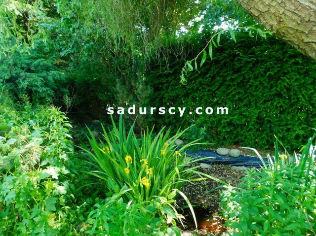 dom wolnostojący, 8 pokoi Piaseczno Chyliczki. Zdjęcie 31