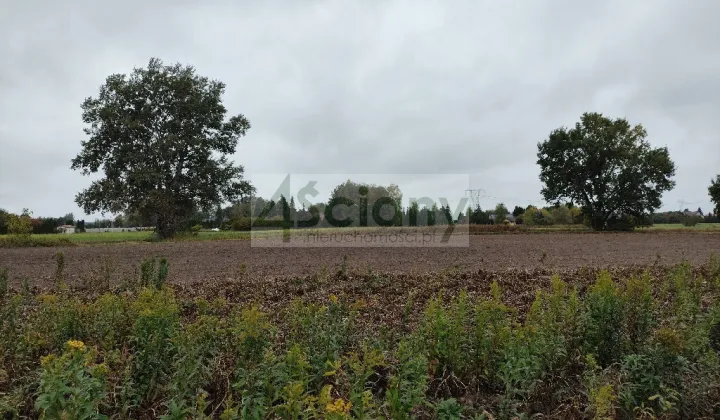 Działka budowlana Kampinos A