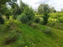 Działka rolna Nowa Jabłona. Zdjęcie 2