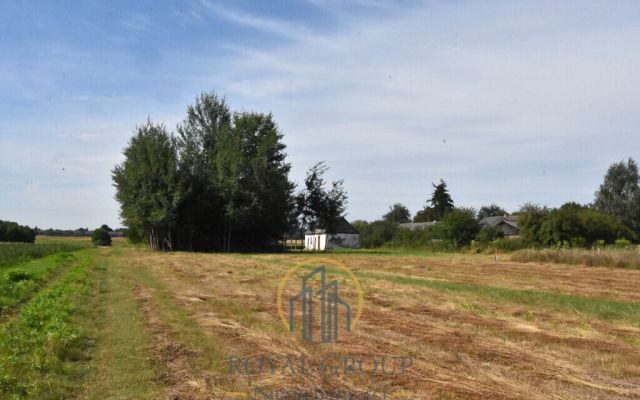 Działka siedliskowa Siedliska. Zdjęcie 3