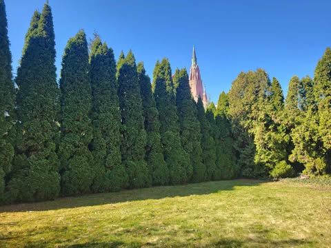 dom szeregowy, 6 pokoi Dąbrowa Górnicza Reden , ul. Romualda Traugutta. Zdjęcie 18