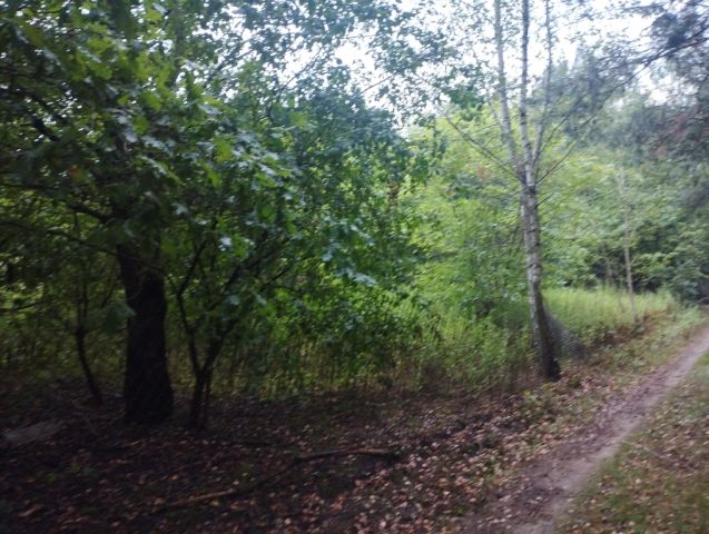 Działka budowlana Mieszkowo. Zdjęcie 11