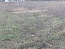 Działka budowlana Ciechocinek, ul. Sportowa. Zdjęcie 3