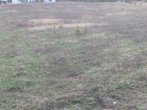 Działka budowlana Ciechocinek, ul. Sportowa. Zdjęcie 4