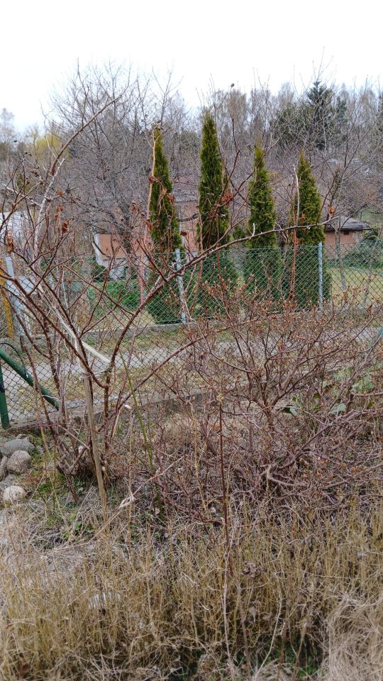 Działka rod Gdańsk Jasień, ul. Źródlana. Zdjęcie 5