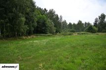 Działka budowlana Czarnia. Zdjęcie 1