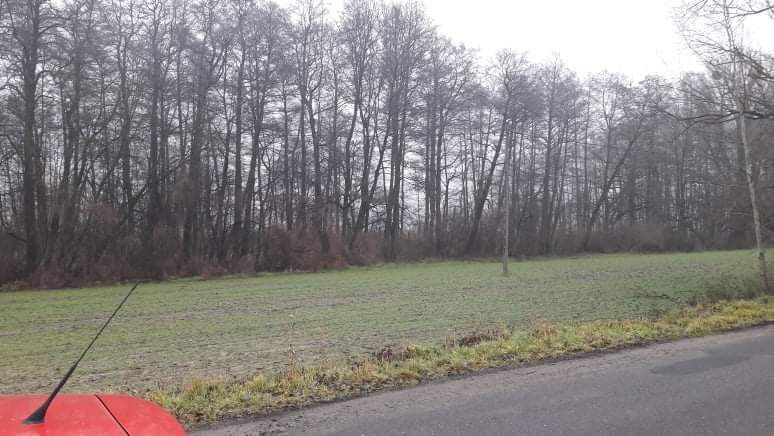 Działka budowlana Grudziądz Mniszek, ul. Wojciecha Kossaka. Zdjęcie 5