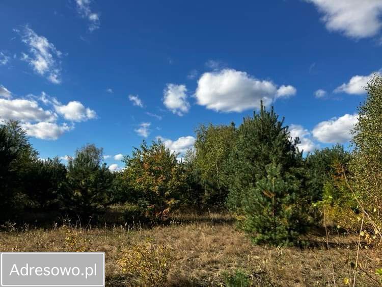 Działka budowlana Zboiska, ul. Lawendowa