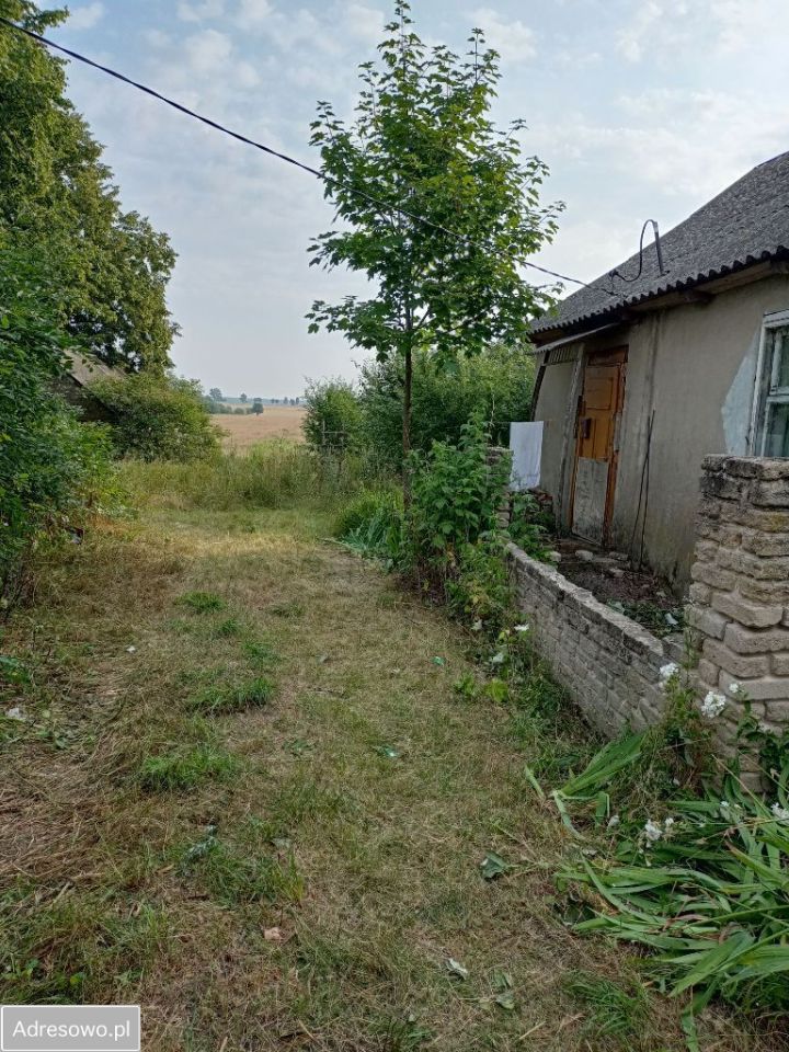 siedlisko Tchórzew-Kolonia. Zdjęcie 6