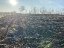 Działka rolno-budowlana Skalbmierz. Zdjęcie 2