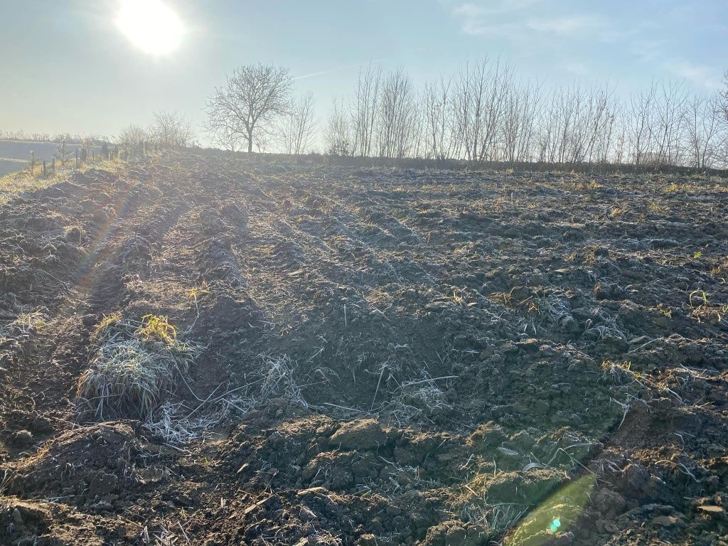 Działka rolno-budowlana Skalbmierz. Zdjęcie 3