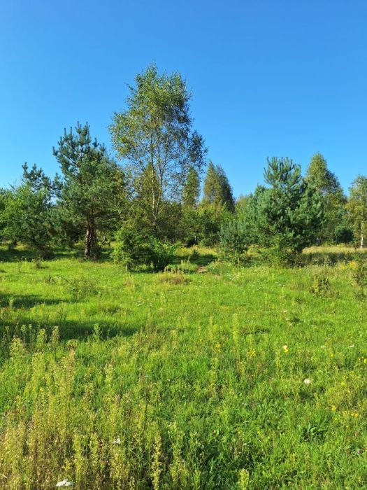 Działka budowlana Bieszkowice, ul. Konny Trakt. Zdjęcie 4