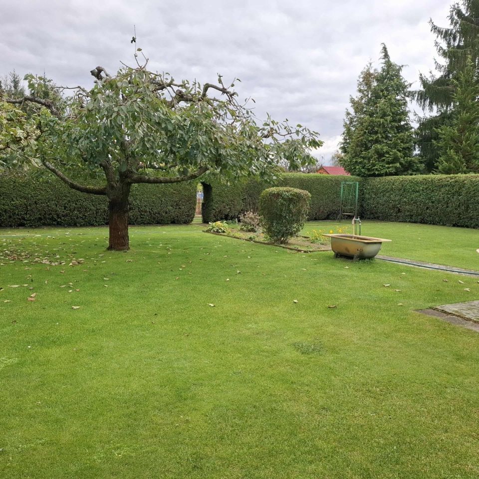 Działka rod Biedrusko. Zdjęcie 2