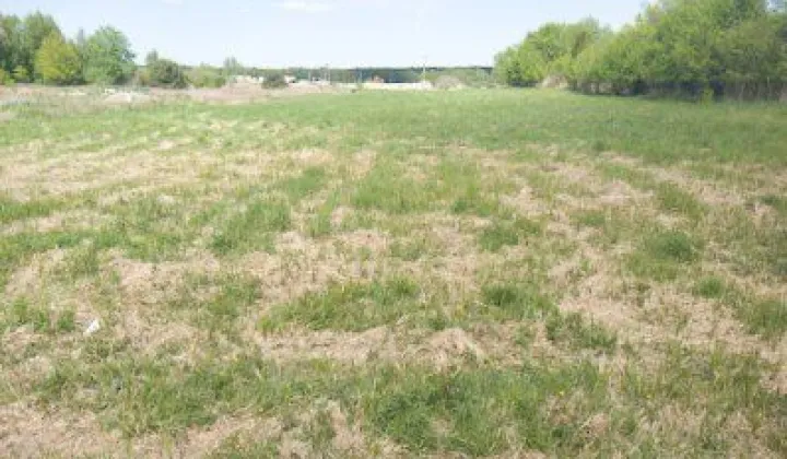 Działka budowlana Zajączków