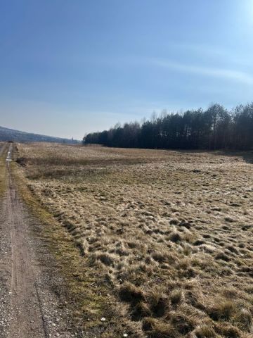 Działka budowlana Masłów Pierwszy. Zdjęcie 1