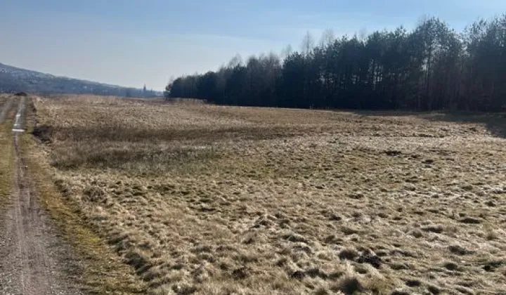 Działka budowlana Masłów Pierwszy