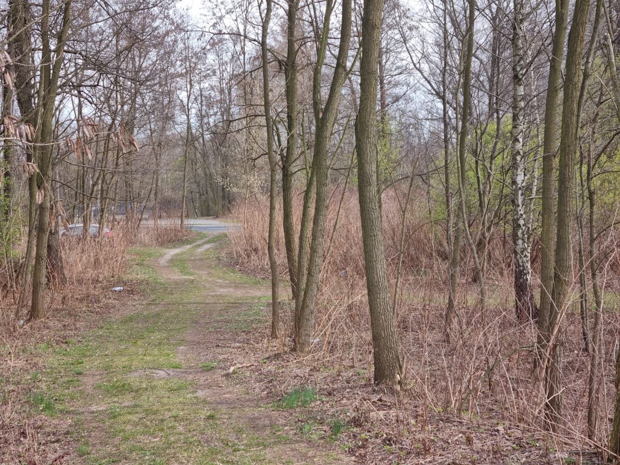Działka rekreacyjna Dąbrowa Górnicza Marianki, ul. Marianki. Zdjęcie 4