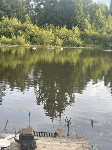 Działka rolna Kozaki. Zdjęcie 4