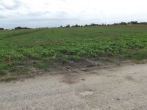 Działka rolna Ścieki