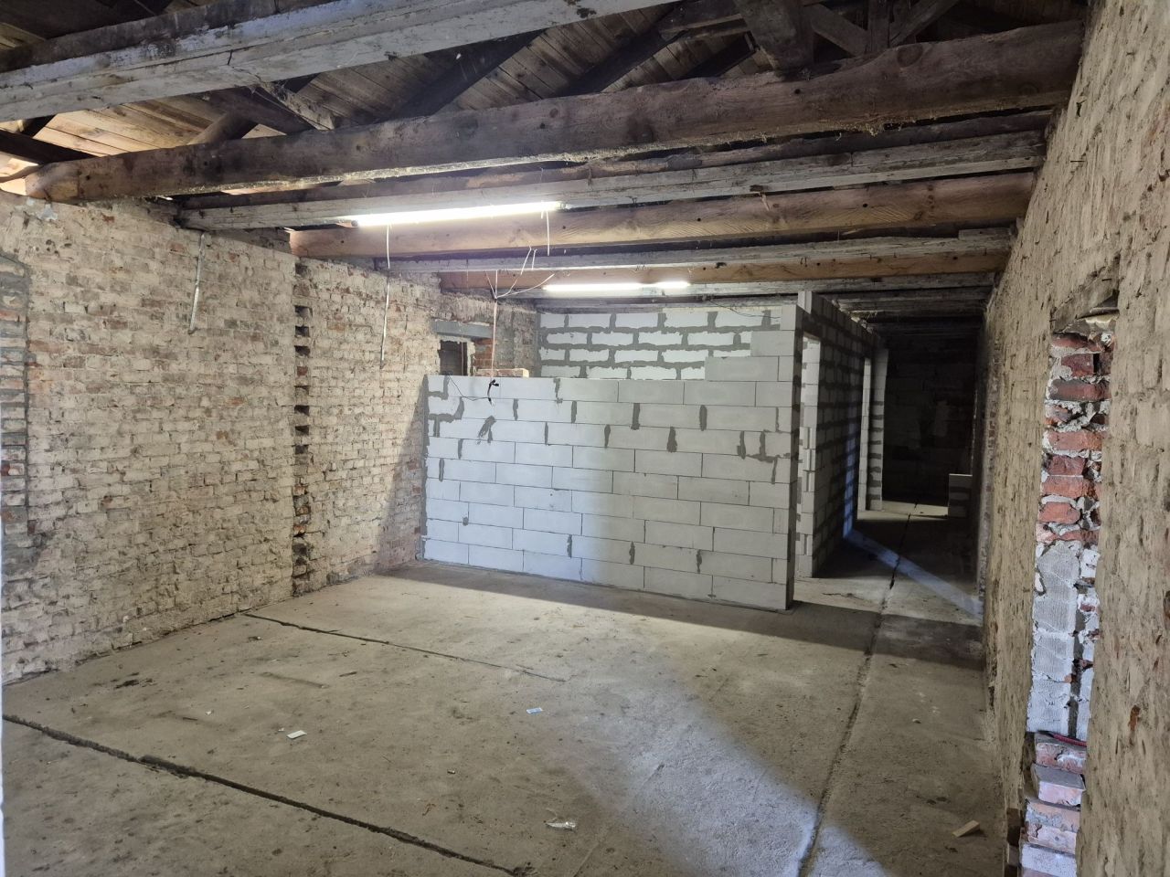 bliźniak Czarny Sad. Zdjęcie 7