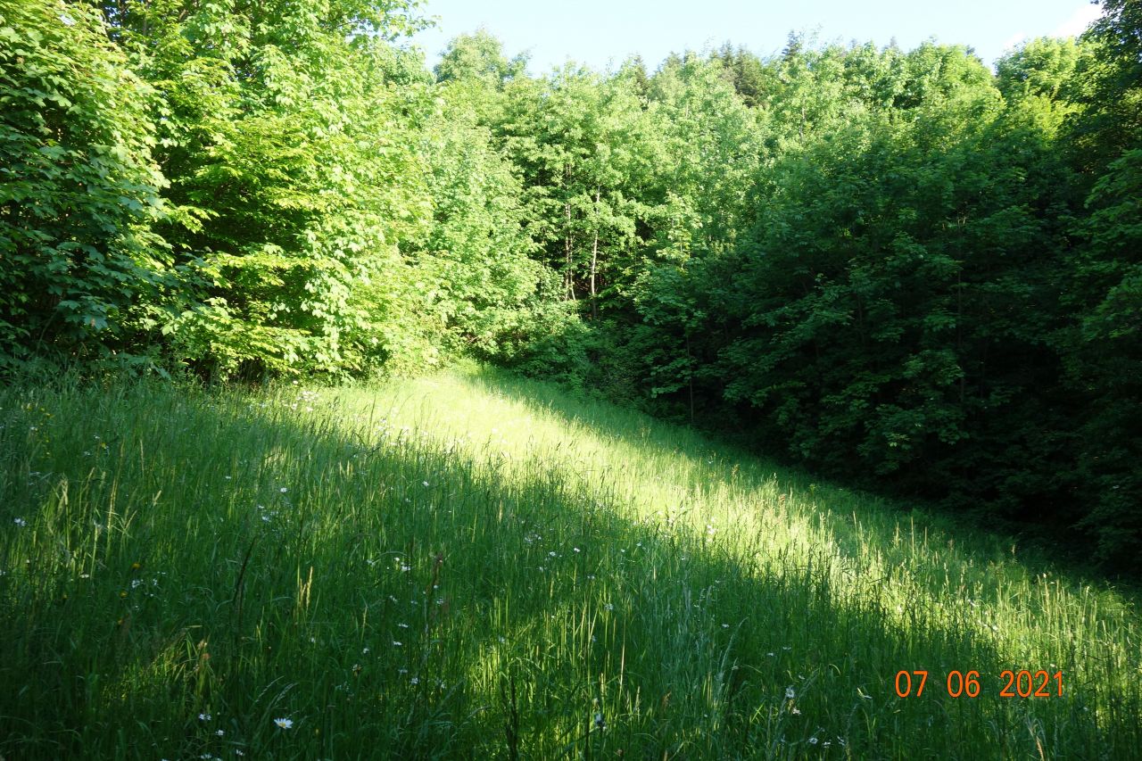 Działka rolna Harbutowice Chodników. Zdjęcie 4