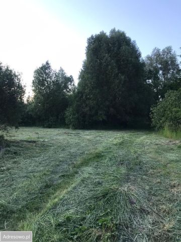 Działka budowlana Grębocin, ul. Nad Strugą. Zdjęcie 1