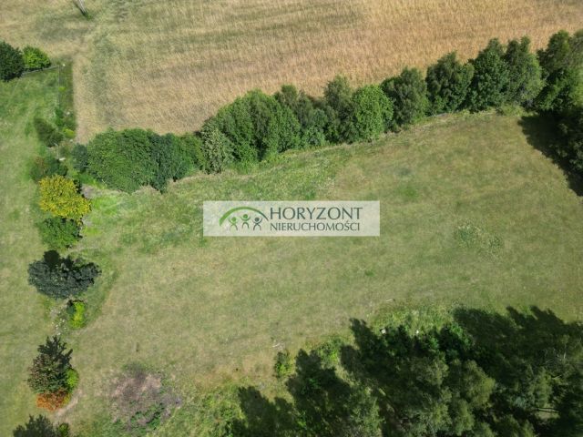 Działka Rybaki. Zdjęcie 3