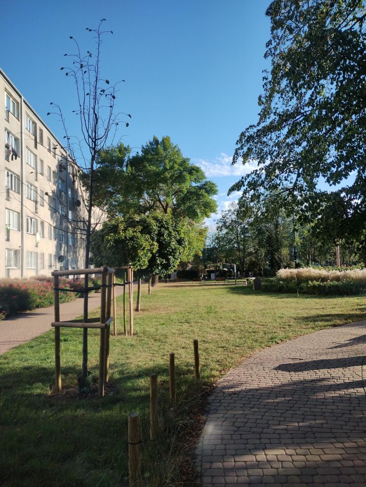 Mieszkanie 3-pokojowe Piaseczno Centrum, ul. Janusza Kusocińskiego. Zdjęcie 10