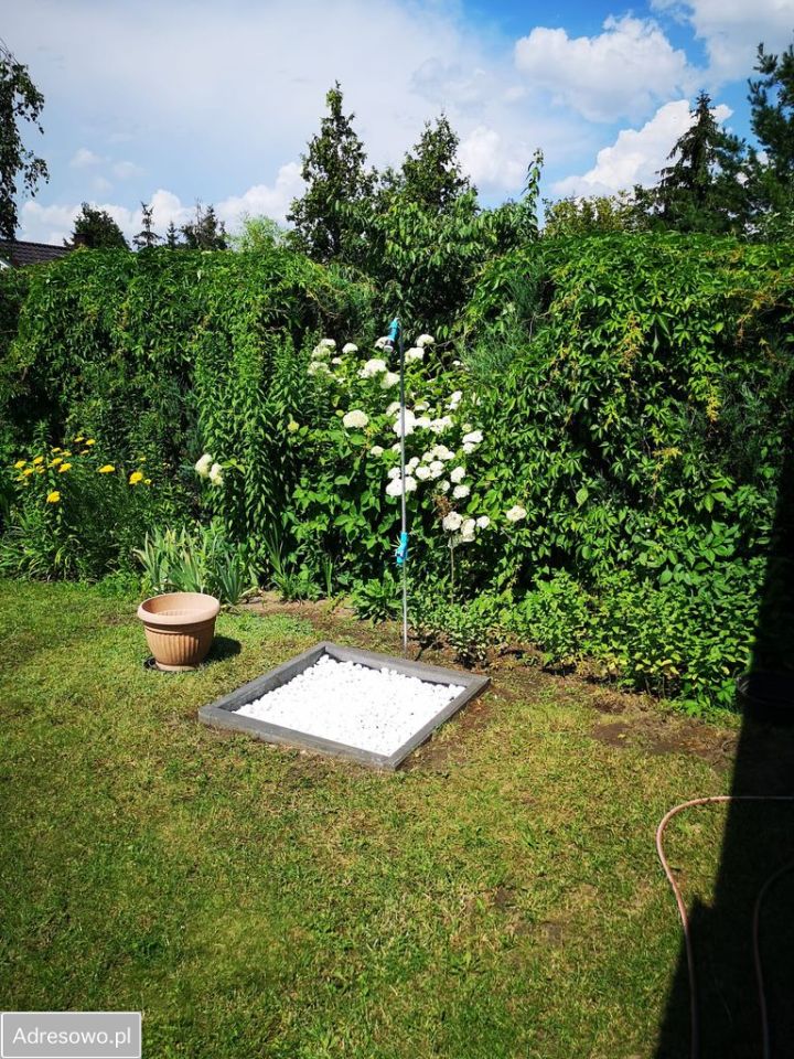 Działka rod Poznań Grunwald, ul. Bukowska. Zdjęcie 12