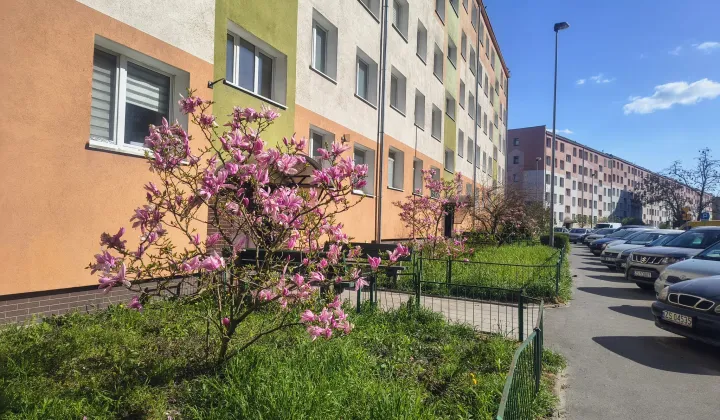 Mieszkanie 2-pokojowe Szczecin Pomorzany, ul. Xawerego Dunikowskiego