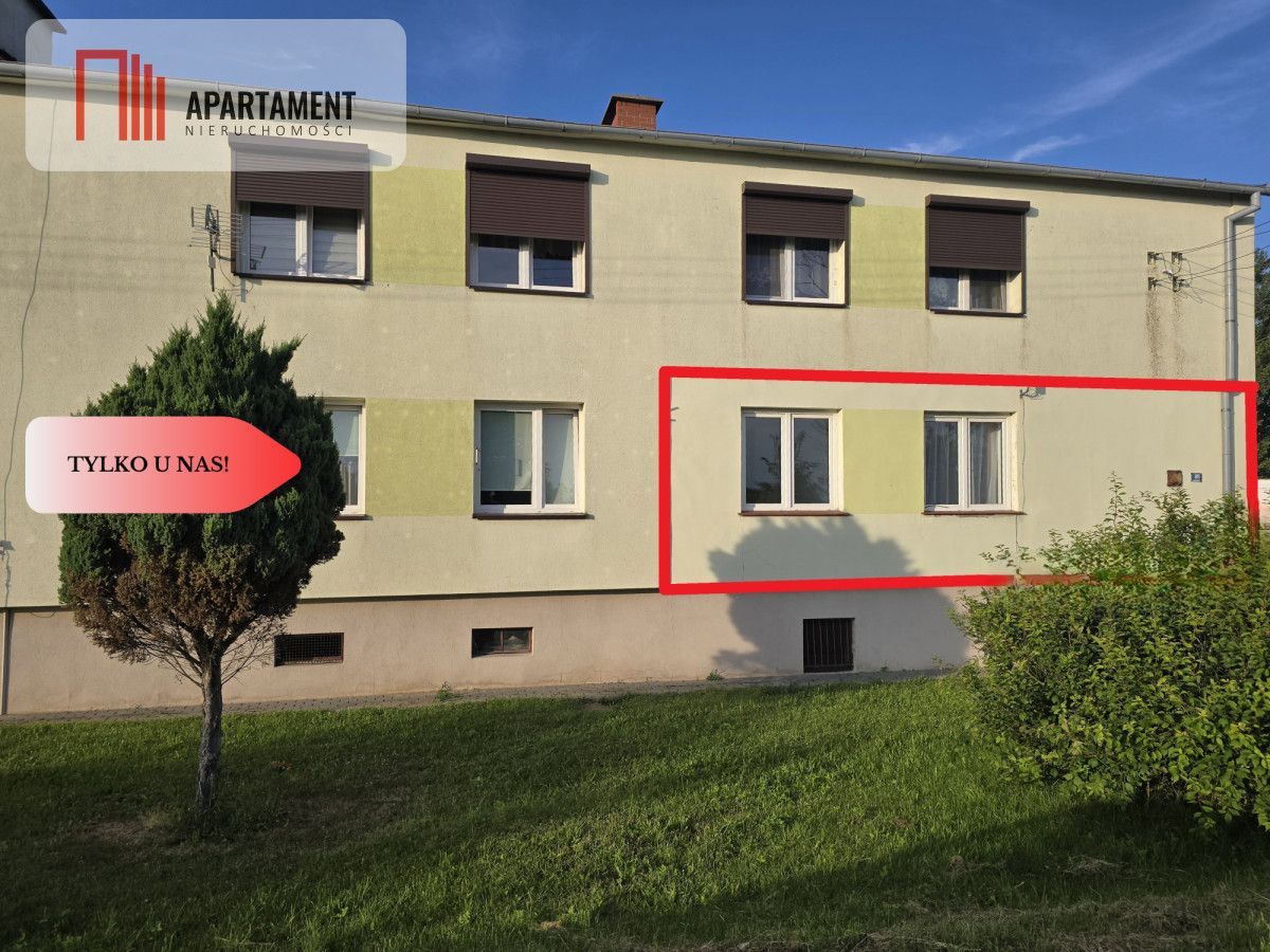 Mieszkanie 2-pokojowe Olszewka. Zdjęcie 5