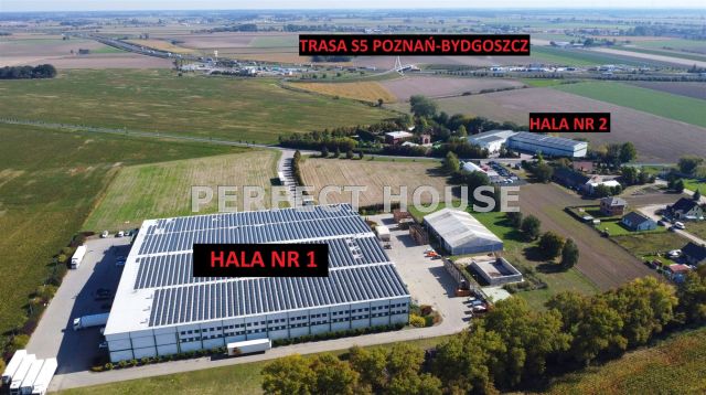 Hala/magazyn Trzek. Zdjęcie 4