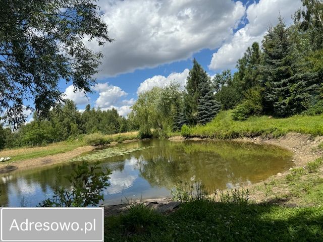 dom wolnostojący, 3 pokoje Budy Ciepielińskie. Zdjęcie 2