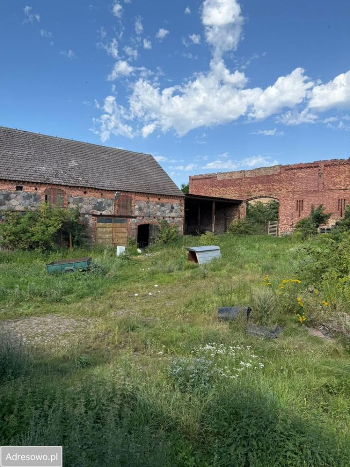 dom wolnostojący, 5 pokoi Dolsko. Zdjęcie 3