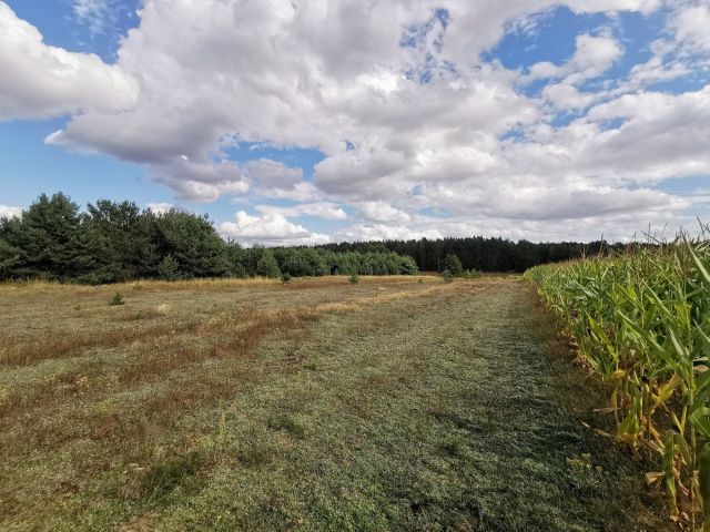 Działka budowlana Dolnik. Zdjęcie 16