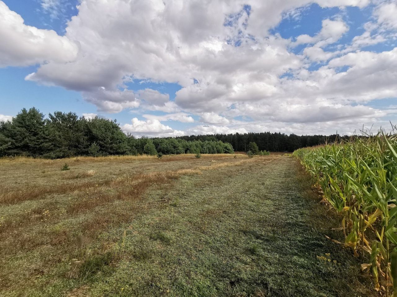 Działka budowlana Dolnik. Zdjęcie 16
