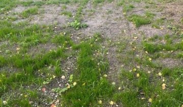 Działka budowlana Placydów