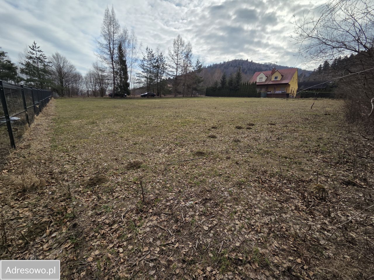 Działka inwestycyjna Łosie. Zdjęcie 2