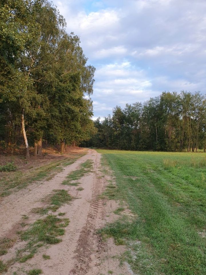 Działka budowlana Chojniki. Zdjęcie 7