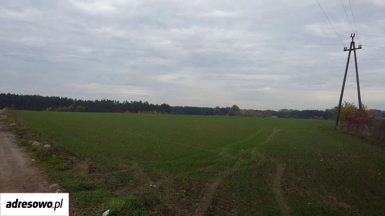 Działka budowlana Nadrożno. Zdjęcie 5