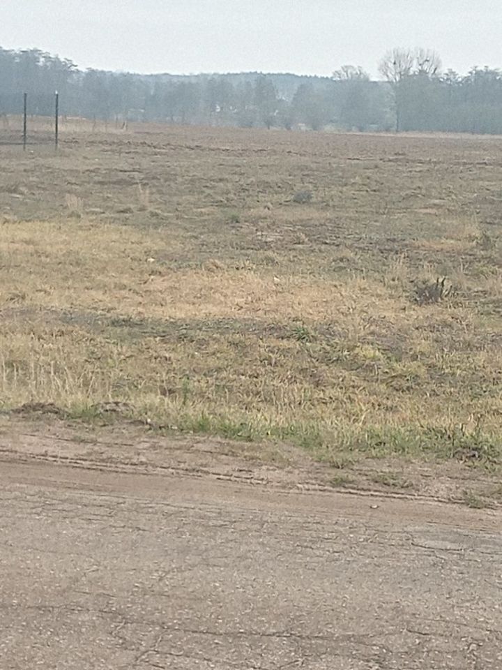 Działka rekreacyjna Nowe Miasto. Zdjęcie 6