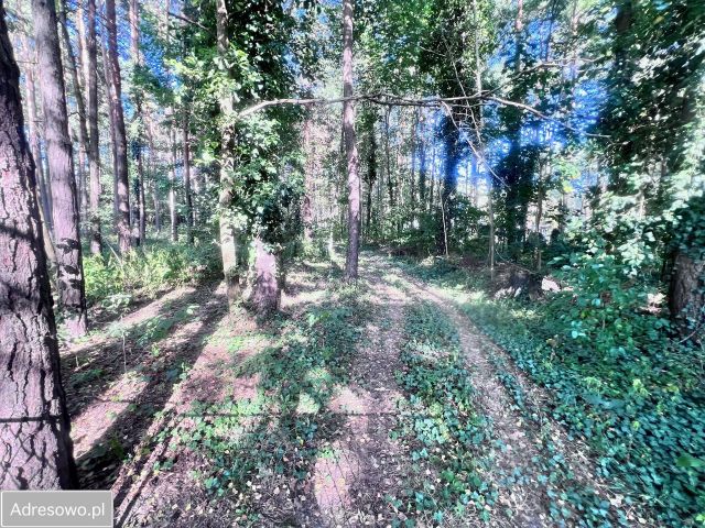 Działka budowlana Żarki-Letnisko, ul. Jodłowa. Zdjęcie 1