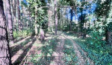 Działka budowlana Żarki-Letnisko, ul. Jodłowa