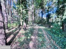 Działka budowlana Żarki-Letnisko, ul. Jodłowa