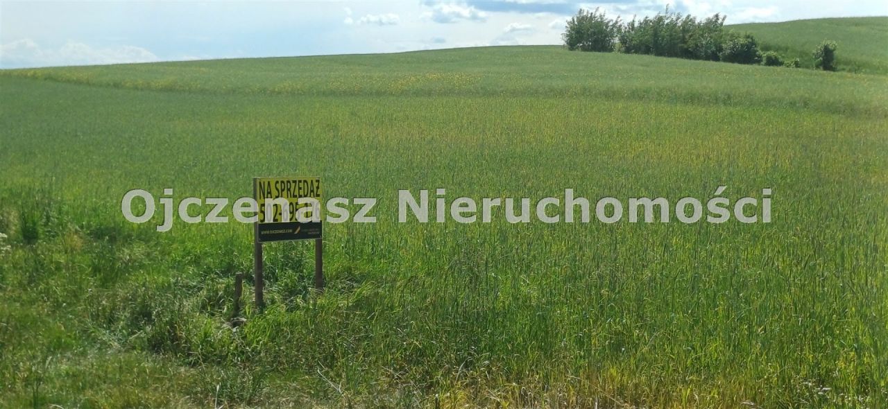 Działka rolna Sitno. Zdjęcie 2