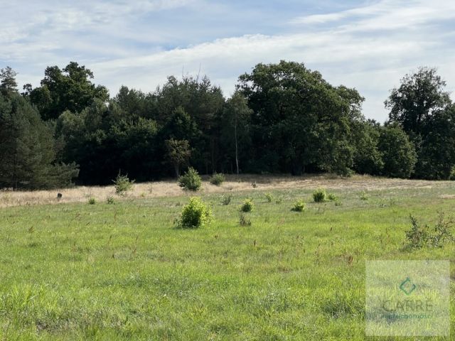 Działka budowlana Uniemyśl. Zdjęcie 3