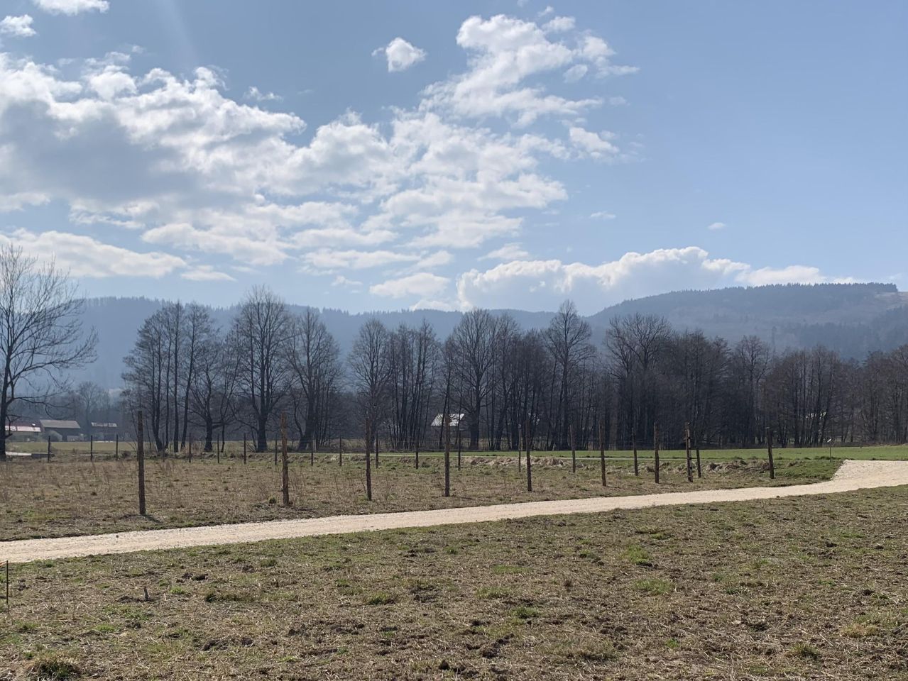 Działka budowlana Stara Łomnica. Zdjęcie 4