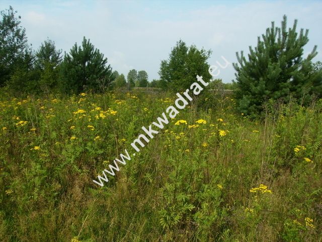 Działka budowlana Czosnów. Zdjęcie 8