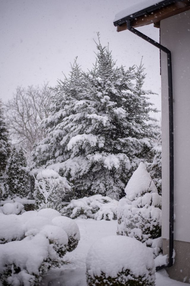 Działka rod Gdańsk Kokoszki, ul. Nowatorów. Zdjęcie 22