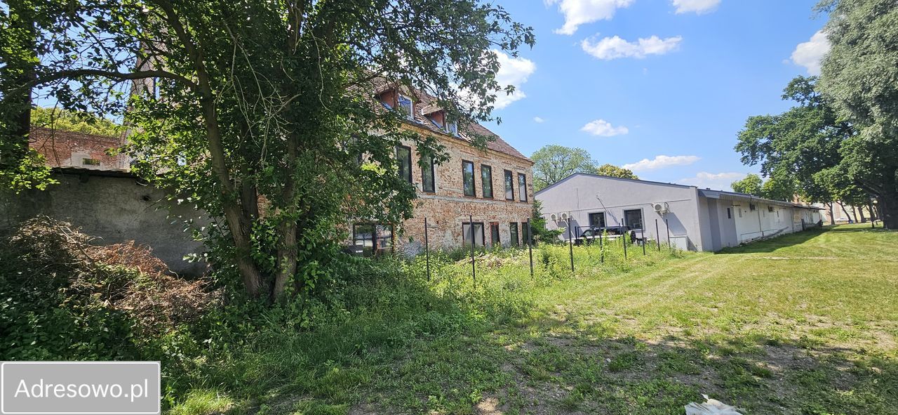 Lokal Krosno Odrzańskie, ul. Szkolna. Zdjęcie 7